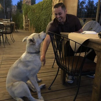 Chamuyo - Jack  love this sweet boy. Owners dog - Steakhouses Near Me - Guadalupe, BCN