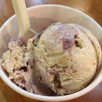 Purity Ice Cream - Blueberry. Cheesecake. Muffin. One of the best ice creams I've ever eaten. - Ice Cream & Frozen Yogurt Near Me - Ithaca, New York