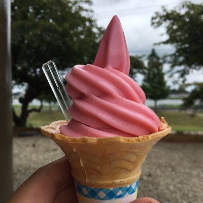 野菜レストラン SHONAN - Updated December 2025 - 18 Photos - 箕輪新