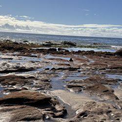 Crystal Cove State Beach