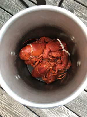 Chambers Oceanfront Cottages by null