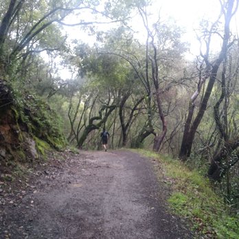 Skyline Wilderness Park - Beautiful trails. - Parks Near Me - Napa, California Skyline Wilderness Park - Beautiful trails. - Parks Near Me - Napa, California
