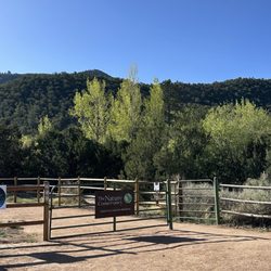 Dale Ball Trails