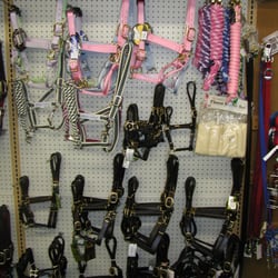 CFC Farm & Home Center Marshall - Halters