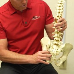 AFC Physical Medicine & Chiropractic - Gilbert - Manual Therapy: The pressure helps release the tension in the muscle fibers & can lead to increased blood flow, relaxation, & reduced pain.