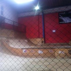 Blunt Skate Park