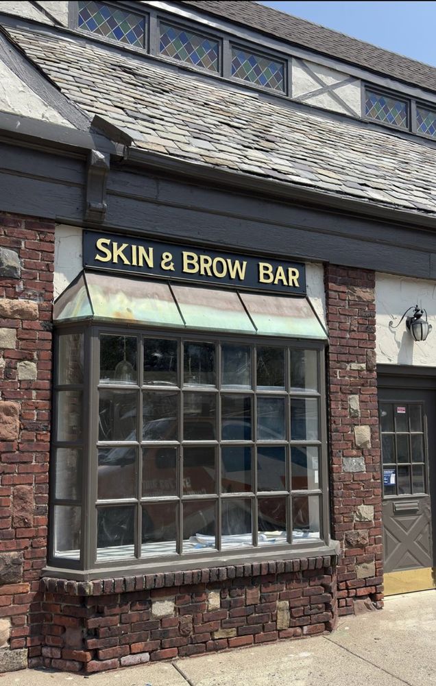 Skin & Brow Bar Logo
