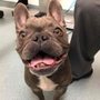 Photo of Pacific CARE Pet Emergency & Specialty