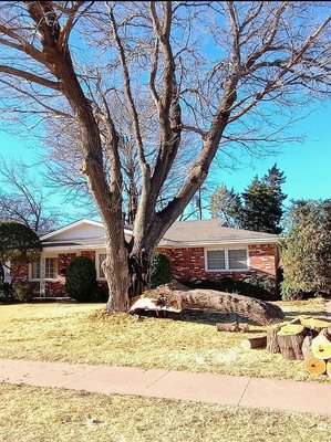 Tree Removal - Hazardous Tree Removal:
We expertly identify and remove trees that pose risks due to disease, age, storm damage, proximity to buildings, or compromised structure. Our crew handles even the most complex removals with strategic planning and the proper equipment.
Large & Difficult Tree Removal:
No tree is too big or too challenging. We use modern climbing techniques, cranes, and rigging systems to safely remove large trees, even in tight or confined spaces.
Selective Tree Removal:
Need selective clearing to improve your landscape, create views, or make room for new construction? We work carefully and methodically so only targeted trees are removed, preserving the health and aesthetics of your property.
Emergency Tree Removal:
Storms and unexpected events can cause trees or limbs to fall suddenly. We offer 24/7 emergency response, prioritizing safety and quick clearance of hazardous situations.
Site & Lot Clearing:
Our team can clear entire lots for new projects, including removing standing trees, undergrowth, and debris—preparing the ground for your next development or landscaping plan.
Post-Removal Cleanup:
We leave your property clean and tidy after every removal, hauling away branches, debris, and leaving no trace behind. Stump removal and grinding are also available upon request. Tree Removal - Hazardous Tree Removal:
We expertly identify and remove trees that pose risks due to disease, age, storm damage, proximity to buildings, or compromised structure. Our crew handles even the most complex removals with strategic planning and the proper equipment.
Large & Difficult Tree Removal:
No tree is too big or too challenging. We use modern climbing techniques, cranes, and rigging systems to safely remove large trees, even in tight or confined spaces.
Selective Tree Removal:
Need selective clearing to improve your landscape, create views, or make room for new construction? We work carefully and methodically so only targeted trees are removed, preserving the health and aesthetics of your property.
Emergency Tree Removal:
Storms and unexpected events can cause trees or limbs to fall suddenly. We offer 24/7 emergency response, prioritizing safety and quick clearance of hazardous situations.
Site & Lot Clearing:
Our team can clear entire lots for new projects, including removing standing trees, undergrowth, and debris—preparing the ground for your next development or landscaping plan.
Post-Removal Cleanup:
We leave your property clean and tidy after every removal, hauling away branches, debris, and leaving no trace behind. Stump removal and grinding are also available upon request.