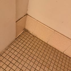 Showboat Motel - Bathroom floor