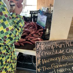 Rochester Farmers Market - Fresh produce