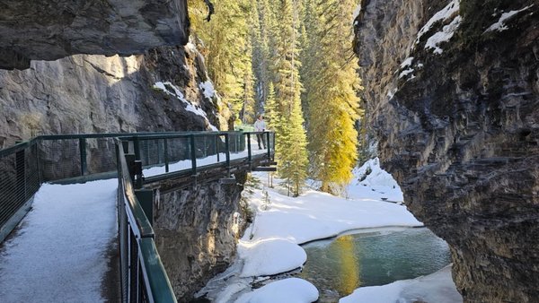 Johnston Canyon by null