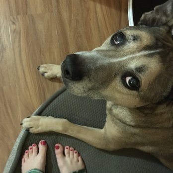 Iris Nails & Spa - my dog, not my husband! - Nail Salons Near Me - Germantown, Maryland Iris Nails & Spa - my dog, not my husband! - Nail Salons Near Me - Germantown, Maryland