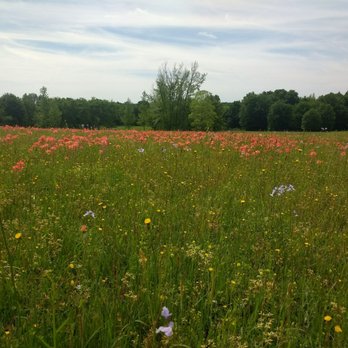 Mineola Nature Preserve - Parks Near Me - Mineola, Texas