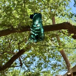 The Escondido Grill - Peacock