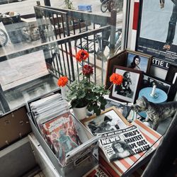 Dog Day Afternoon - Decor