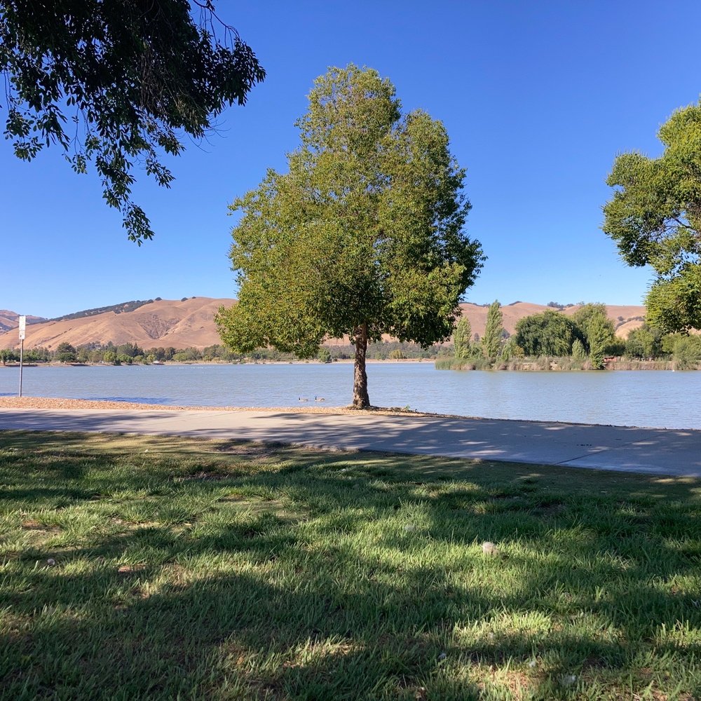 Central Park Condominiums - 4022-4093 Abbey Ter Fremont, CA 94536 |  Apartments.com, image size:1000x1000