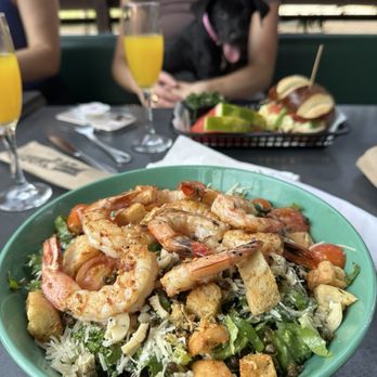 Local Foods - Kale Shrimp Caesar Salad - Sandwiches Near Me - Houston, Texas Local Foods - Kale Shrimp Caesar Salad - Sandwiches Near Me - Houston, Texas