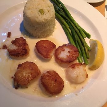 Cafe Alfresco - Pan Seared Scallops - it's okay, don't get the rice for sure. - New American Near Me - Dunedin, Florida Cafe Alfresco - Pan Seared Scallops - it's okay, don't get the rice for sure. - New American Near Me - Dunedin, Florida
