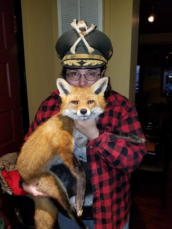 Brush Wolf Taxidermy - taxidermy in Havre de Grace, MD