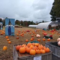Rainbow Farms