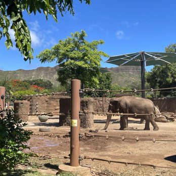 Honolulu Zoo - Zoos Near Me - Honolulu, Hawaii