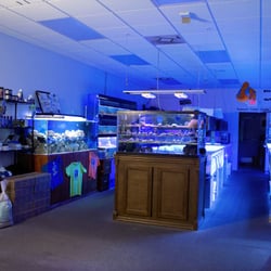 Treasure Coast Corals