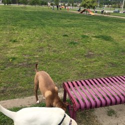 Centennial Park Dog Park