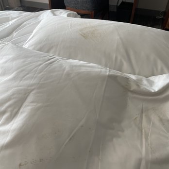 Hyatt Regency Denver Tech Center - More stains on the pillows - Hotels Near Me - Denver, Colorado Hyatt Regency Denver Tech Center - More stains on the pillows - Hotels Near Me - Denver, Colorado