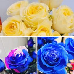 Meadows Flowers - Beautiful flowers in the cooler