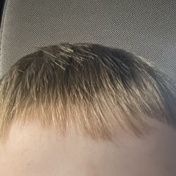 Great Clips - Atrocious chopping my sons bangs up.