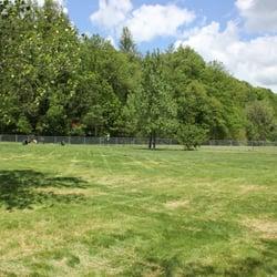 BARC Akron Dog Park - A secure fenced in dog park provides better Akron recreation for canines.