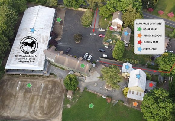 Testo Family Farm by null