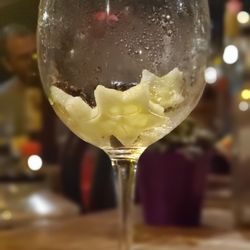 Natureza Selvagem - Lo que quedó del riquísimo Gin Star