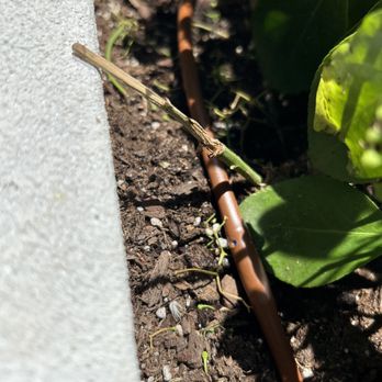Kings Irrigation - Micro drip - Irrigation Near Me