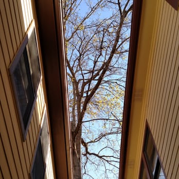 Lakewood Trees - 35+ft water oak near house and overhanging roof - Tree Services Near Me