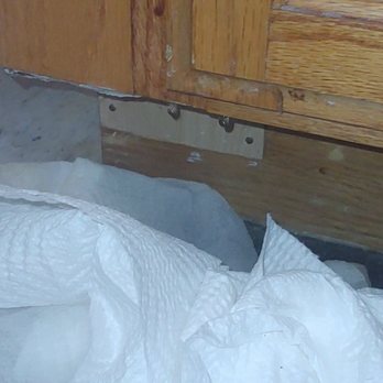Evanston Neighborhood Properties - Flooding Kitchen Sink & Cabinet (Feb 25, 2019) - Apartments Near Me - Evanston, Illinois