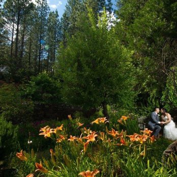Quinn Photography - Event Photography Near Me - Fair Oaks, California