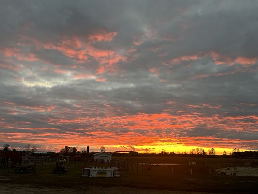 The Property Farms and McCallum's Orchard & Cider Mill by null