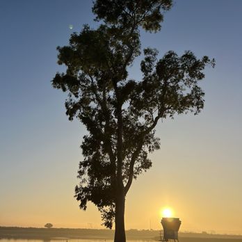Tecolote Shores - Shady tree on the shore - Parks Near Me - San Diego, California