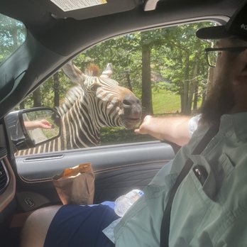 Wild Animal Safari - Zoos Near Me - Strafford, Missouri Wild Animal Safari - Zoos Near Me - Strafford, Missouri