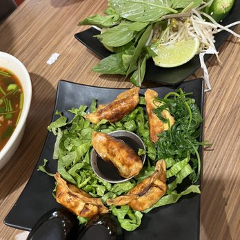 Pho Van Noodles & Grill - Think these were chicken dumplings. Yum yum - Vietnamese Near Me - Houston, Texas