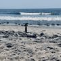 Photo of Topanga Beach