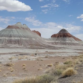 Painted Desert Oasis - Desserts Near Me - Holbrook, Arizona
