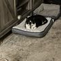 Photo of Amanda’s Pet Sitting
