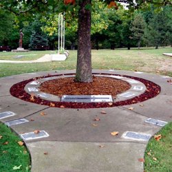 International Forest of Friendship - The moon tree
