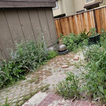Yards By Mike - Back patio before - Gardeners Near Me Yards By Mike - Back patio before - Gardeners Near Me