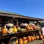 Photo of Banker Orchards