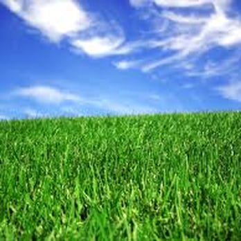 Irrigation Doctor - Lawn Care Services - Landscaping Near Me - Calgary, Alberta