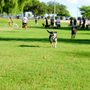 Photo of Quail Run Park